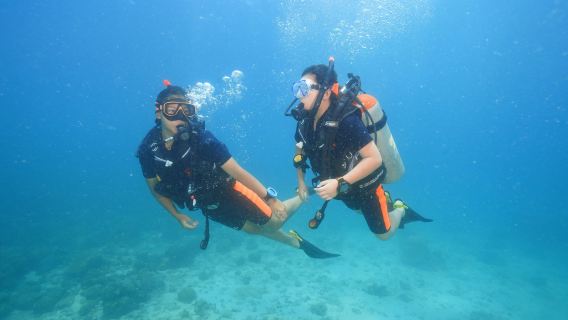 Koh Chang : Cours de Plongée en Eau Libre PADI – 3 jours