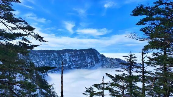 Excursión de un día desde Chengdu a la montaña Wawu | Observación del mar de nubes y acantilados en la montaña Mesa | Opción de guía en inglés | No incluye entrada