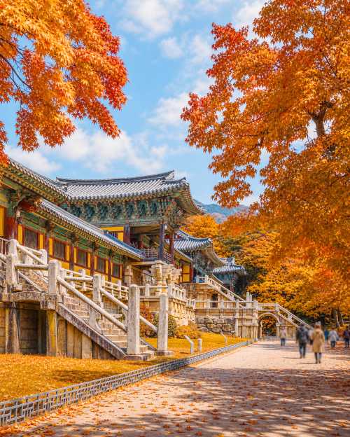 경주 역사 고도 | 세계유산 (불국사&대한불교조계종 석굴암) 당일 치기 여행 | 부산 출발