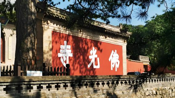 One-day private chartered car tour to Foguang Temple and Nanchan Temple in Xinzhou, Shanxi [Enjoy private tour]