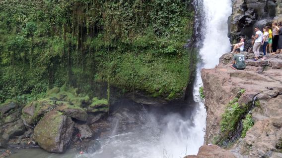 Tour Giornaliero Tutto Incluso di Ubud
