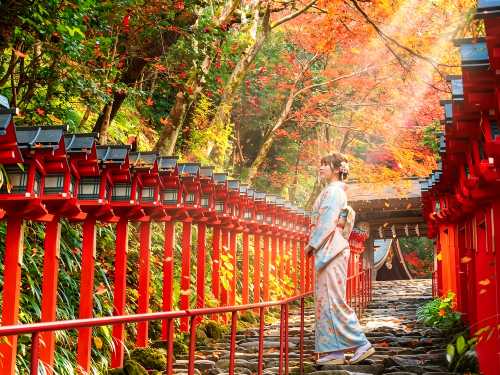 【プレミアム少人数ツアー】貴船神社+三千院+南禅寺|叡山電車体験ワンデーツアー