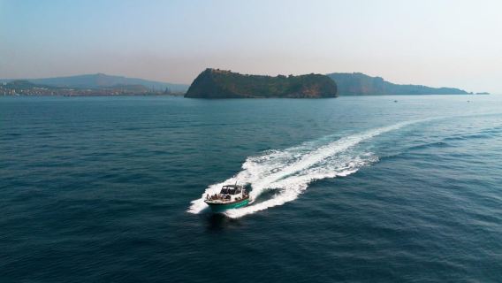 Sorrento: Ischia and Procida Boat Tour with Light Lunch