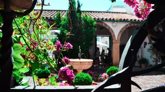 Córdoba: Tour por los patios y el Palacio de Viana