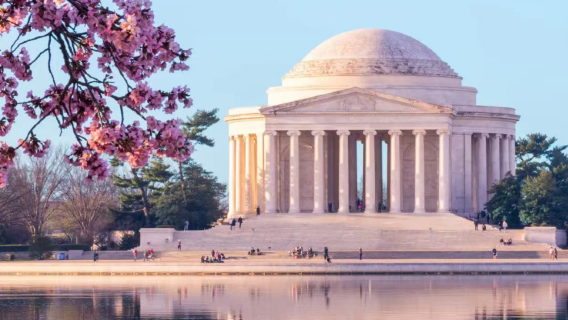 [Washington D.C.] Tidal Basin walk with 2h live guide at the Thomas Jefferson Memorial