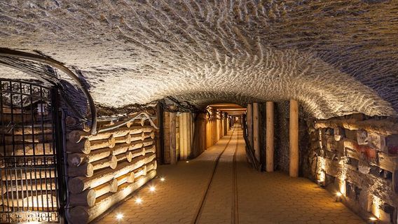 WieliczkaTours