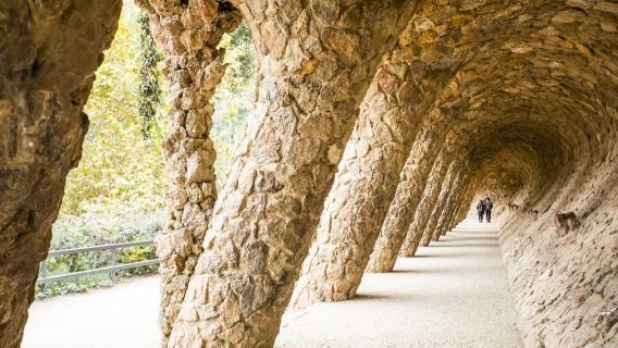 Skip the Line - Park Güell Guided Tour