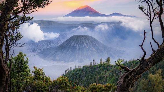 Discover the natural wonders of East Java – 1-day tour to explore Mt Bromo