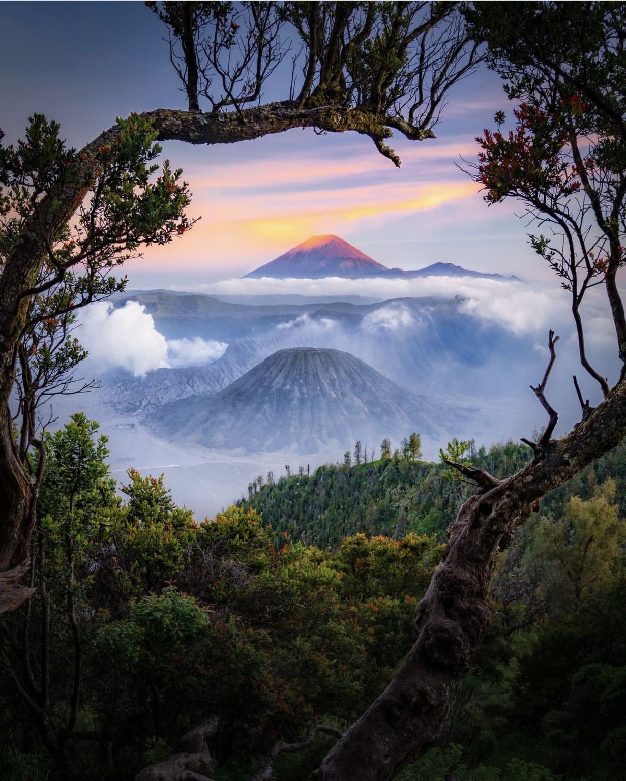 Discover the natural wonders of East Java – 1-day tour to explore Mt Bromo