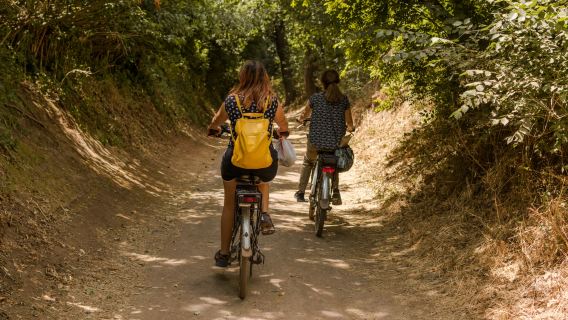 Official Appia Antica, Caffarella Valley & Aqueducts e-Bike Tour (SHARED)