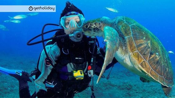 Costa AdejeTours