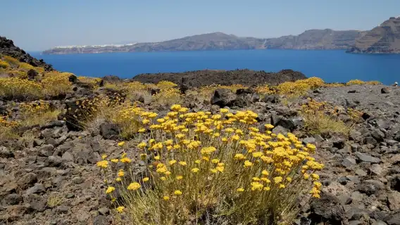 ทัวร์วันเดียว/ทัวร์หลายวัน เกาะ Nea Kameni ในซานโตรินี ประเทศกรีซ