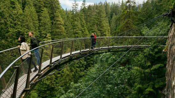 Capilano Suspension Bridge Park: Entry Ticket