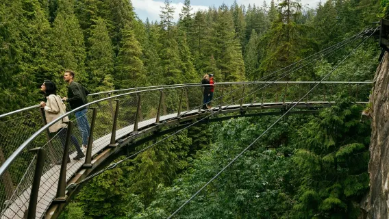 Pont suspendu de Capilano : Billet d'entrée