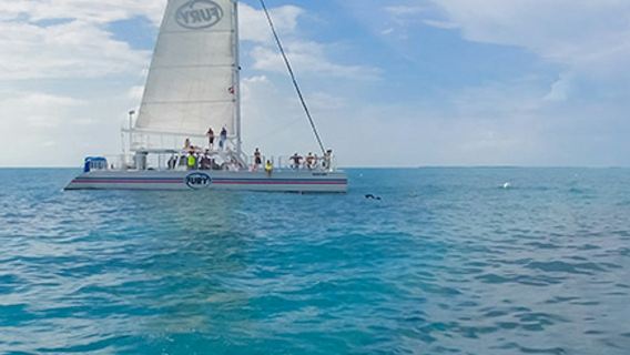 Key West: tour mattutino di snorkeling