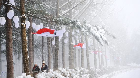 Nami Island + Gangchon Railbike + The Garden of Morning Calm One Day Tour (Depart from Seoul)