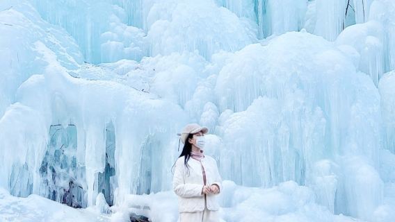 Eobi Ice Valley + Alpaca World + Nami Island + The Garden of Morning Calm One Day Tour (From Seoul, Winter Exclusive)