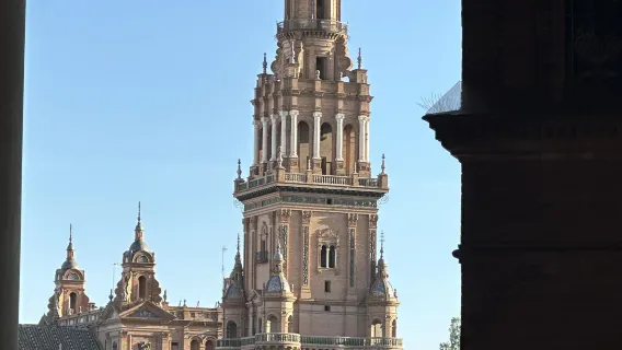 스페인 세비야 투우장 + 골든타워 + 왕궁 + 대성당 일일 투어 중국어 및 영어 서비스