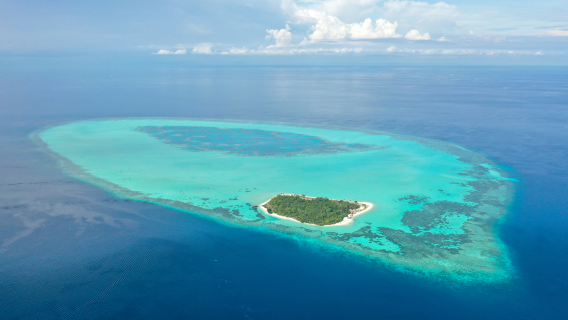 Pom Pom Island