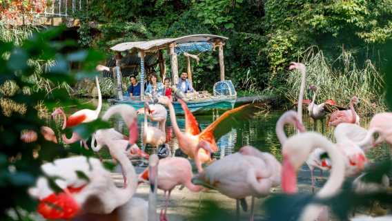 Germany + Herrenhausen Gardens + Hannover Old Town + Hannover Exhibition Center one-day tour