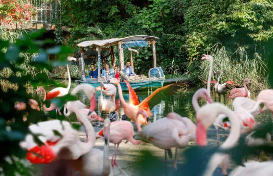 德國+海恩豪森王室花園+漢諾威老城區+漢諾威展覽中心一日遊