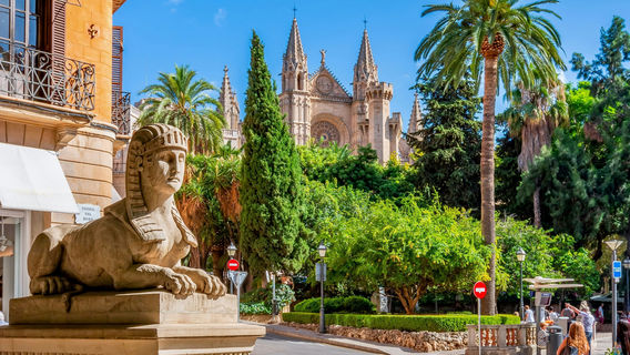Palma de MallorcaExperiences
