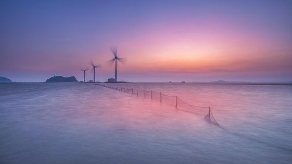 海牙日遊