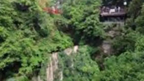 장자제 삼림 공원 & 아바타 산 & 스카이 가든 & 천자산 프라이빗 일일 투어