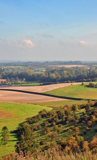 英国オックスフォード大学＋コッツウォルズ田園地帯ワンデーツアー|快適な小型バス