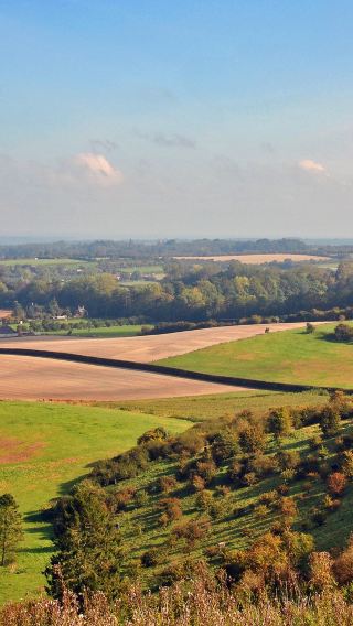 Oxford and Cotswolds Day Tour from the University of Oxford|Comfortable minivan