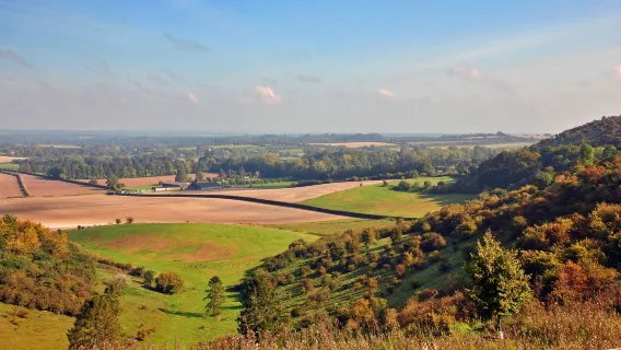 Excursão de um dia para a Universidade de Oxforde e Cotswolds no Reino Unido | Micro-ônibus confortável