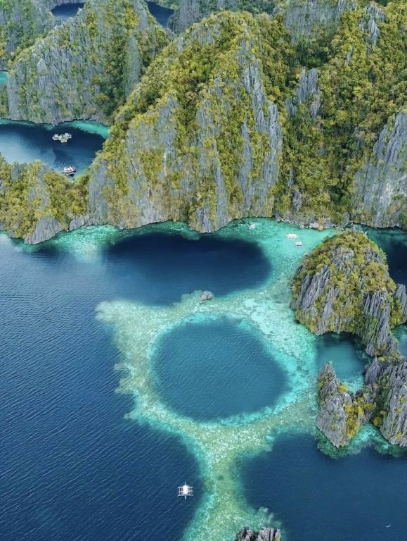 菲律賓境內 專業翻譯|旅遊地陪|商務翻譯|展會翻譯|陪同拜訪|中文＆英語翻譯