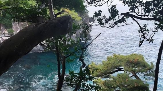 日本東京+伊豆+熱海花火大會一日遊/行程可調-可定制多日