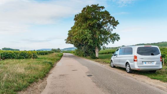 From Beaune: Burgundy Day Trip with 14 Wine Tastings