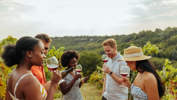 Collingwood : visite de dégustation de vins et de cidres des Blue Mountains