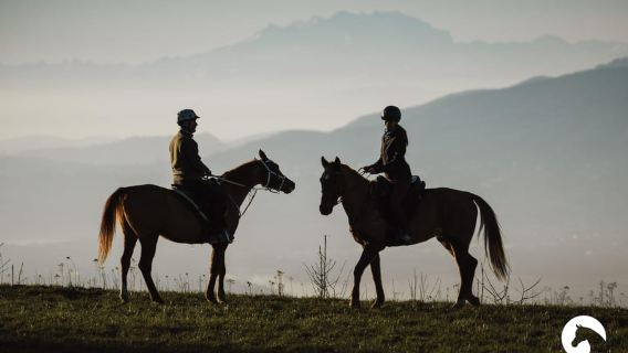 Lago di Como: Avventura a cavallo e degustazione con viste mozzafiato