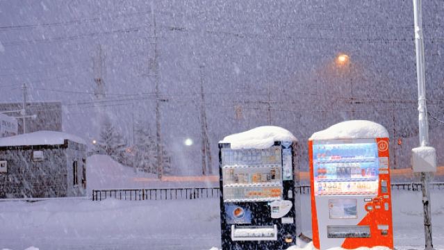 日本北海道小樽一日遊｜天狗山｜札幌來回｜尋找《情書》中的美景