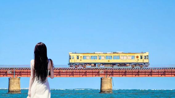 Excursion d'une journée amusante avec le train maritime de Tango à Kyoto, le pont céleste d'Amanohashidate et les maisons-bateaux d'Ine, inspirée du Voyage de Chihiro