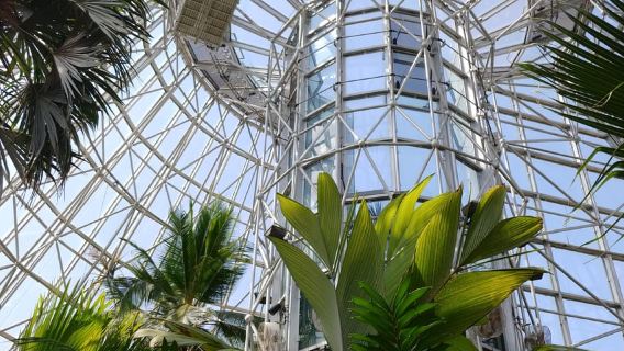 San Antonio: Vé vào cửa Vườn Bách thảo