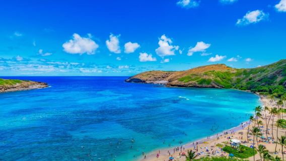 Oahu: Circle Island Top Sights Full-Day Tour w/ Local Guide