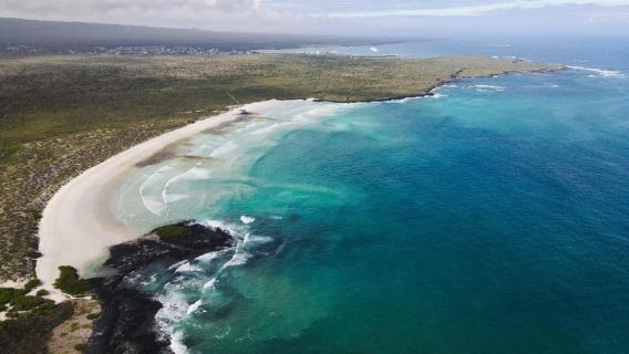 Half Day Adventure in the Bay of Santa Cruz from Puerto Ayora