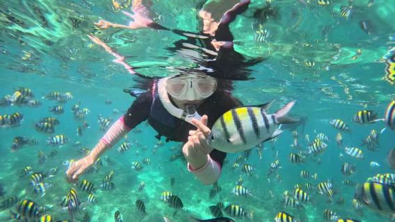 萬寧石梅灣加井島浮潛體驗潛水浮潛3小時【萬寧：加井島單浮潛實惠套餐 浮潛裝備 送拍攝 提供沖淡】