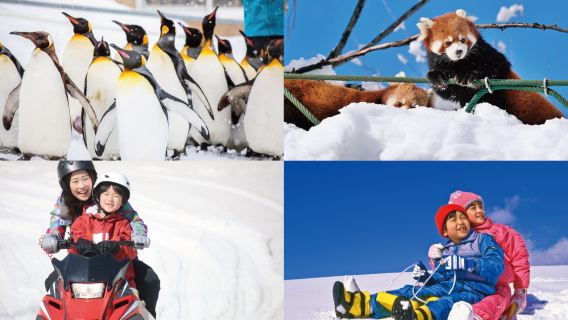 Asahiyama Zoo & Bibai Snow Land [Bilingual Chinese-English guide winter 1-day tour]