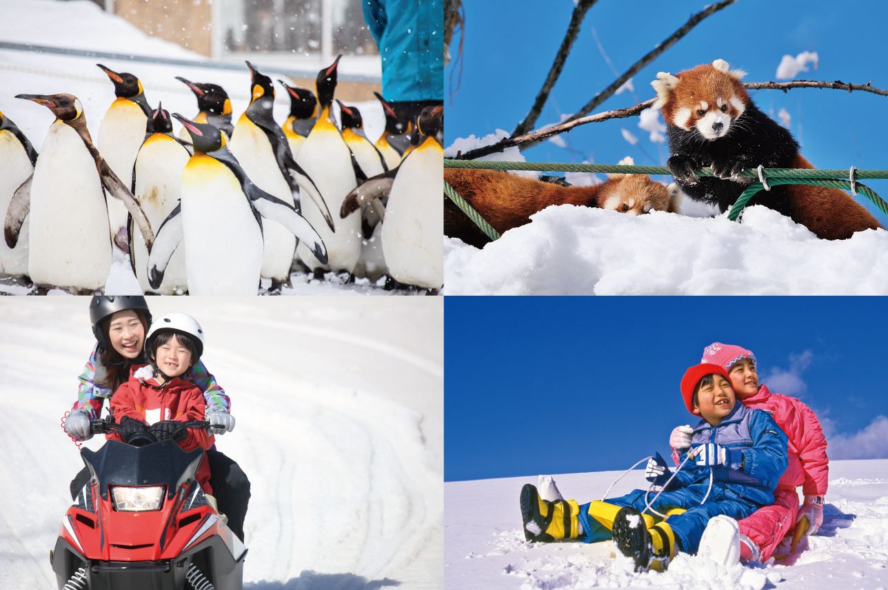 Asahiyama Zoo & Bibai Snow Park [Tagesausflug im Winter mit Reiseleiter in Chinesisch und Englisch]