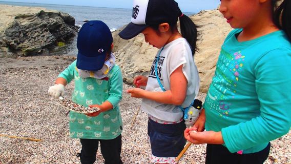 Shell Collecting Workshop Experience at Minamiboso City Tourist Information Center