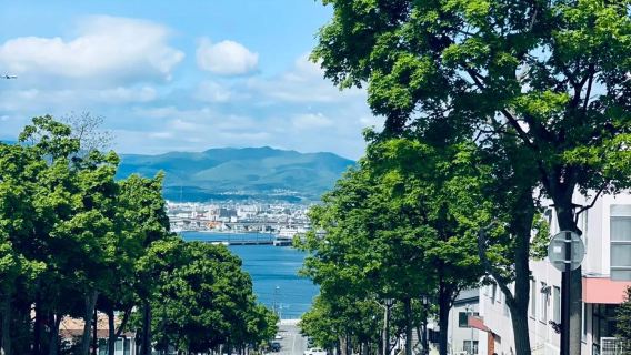 日本北海道函館+登別+小樽定制遊【此行程為多日包車】