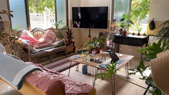 [Вводный урок серфинга 1 на 2] Фото в подарок · Цена за одного человека