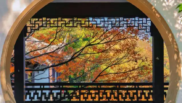 杭州雷峰塔+蘇堤漫步+西湖遊船休閒船環湖遊+人員導覽半日遊