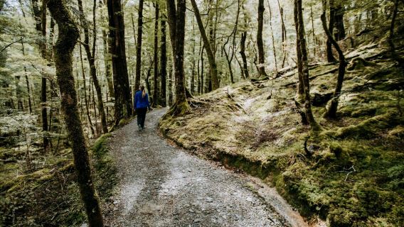 皇后鎮來回【格林諾奇+箭鎮+水果鎮】獨立包車+中文司導