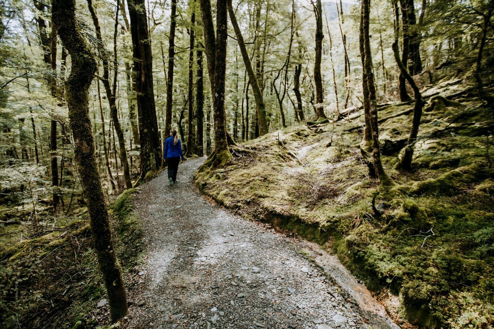 Queenstown round-trip private charter to Glenorchy, Arrowtown, and Fruit Town with Chinese-speaking driver guide